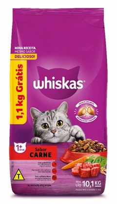 WHISKAS DRY CARNE 9KG+1,1GT