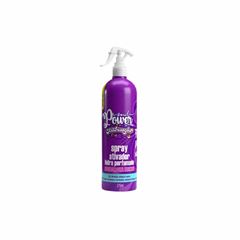 LEAVE-IN SOUL POWER 315ML PRE DIFUSOR