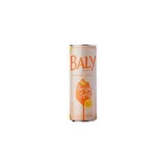 ENERGETICO BALY 250ML FLORIPA SPRITZ