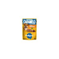 RAÇÃO CANINA ÚMIDA EM SACHÊ PEDIGREE SABOR CARNE PARA FILHOTES 100G